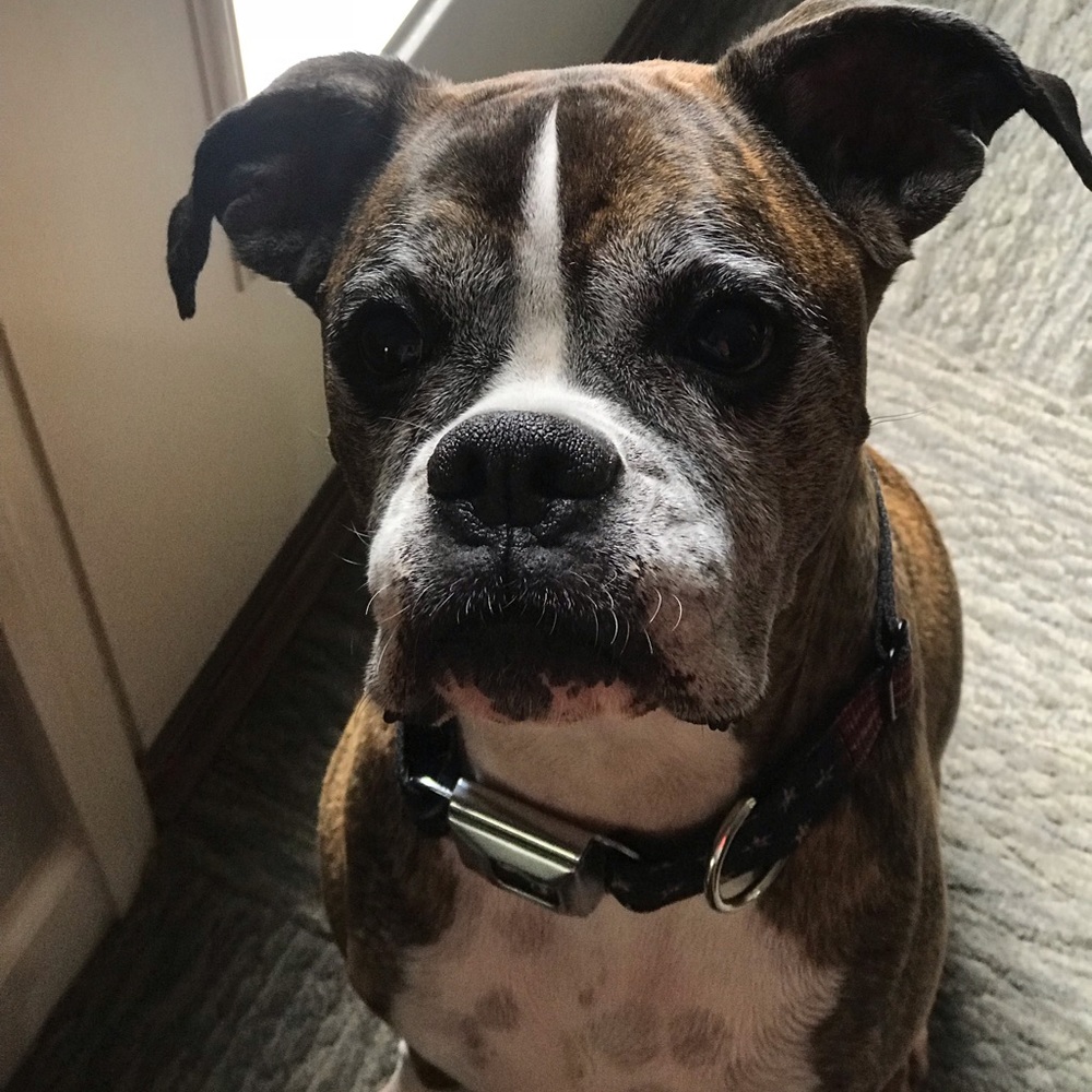 Meet your Posher, Claire